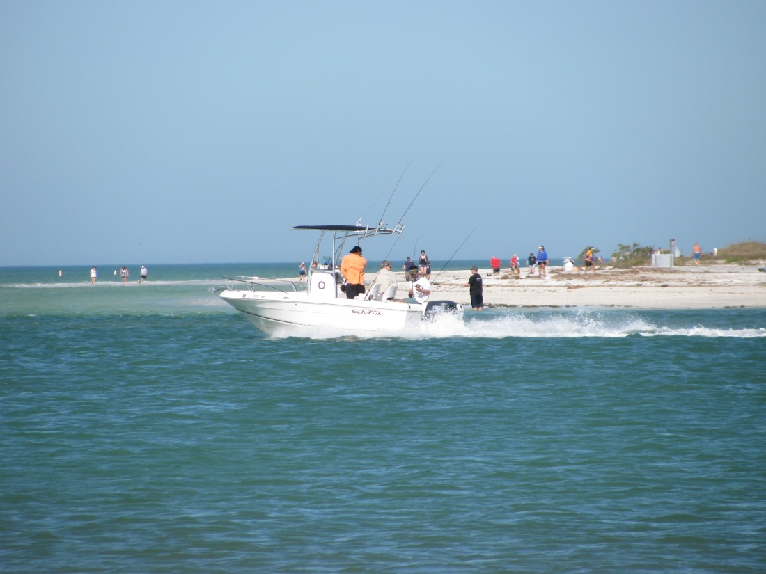 Fishing Charter Hotspots on the Florida Gulf Coast