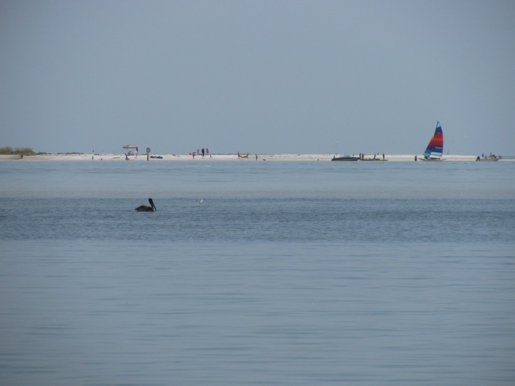 Caladesi Island Kayak Trail