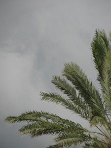 Florida storms (4)