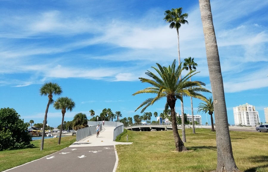 Top 7 Walks at Clearwater Beach