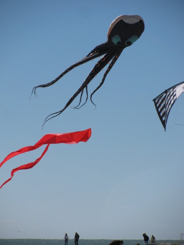 kite festival treasure island