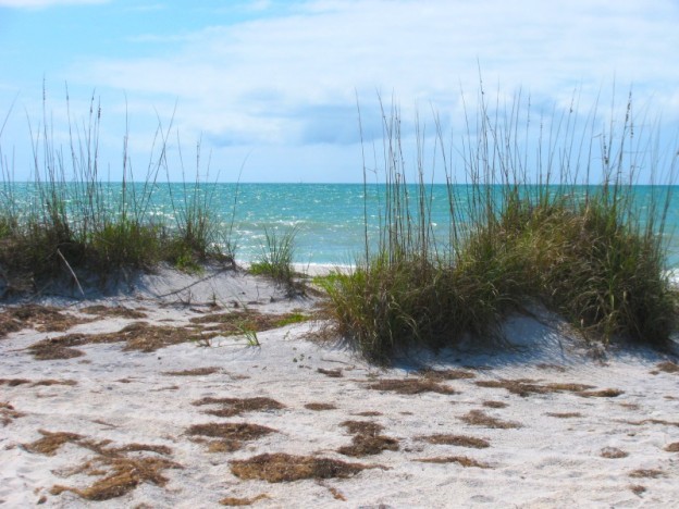 Barrier Islands of the Central Gulf Coast of Florida