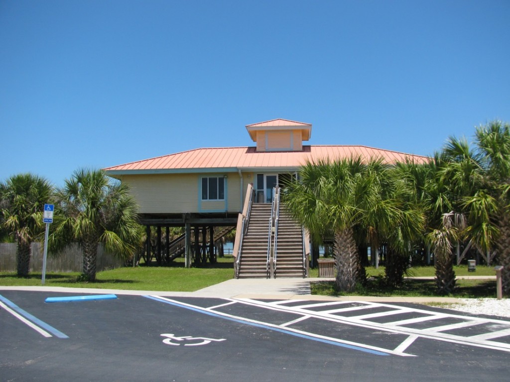 Exploring the Honeymoon Island Nature Trail