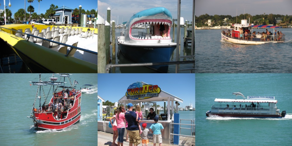 dolphin sighting tours