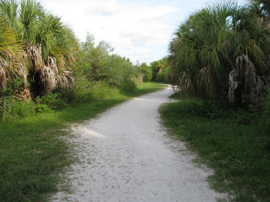 Southern Pleasures of Honeymoon Island State Park