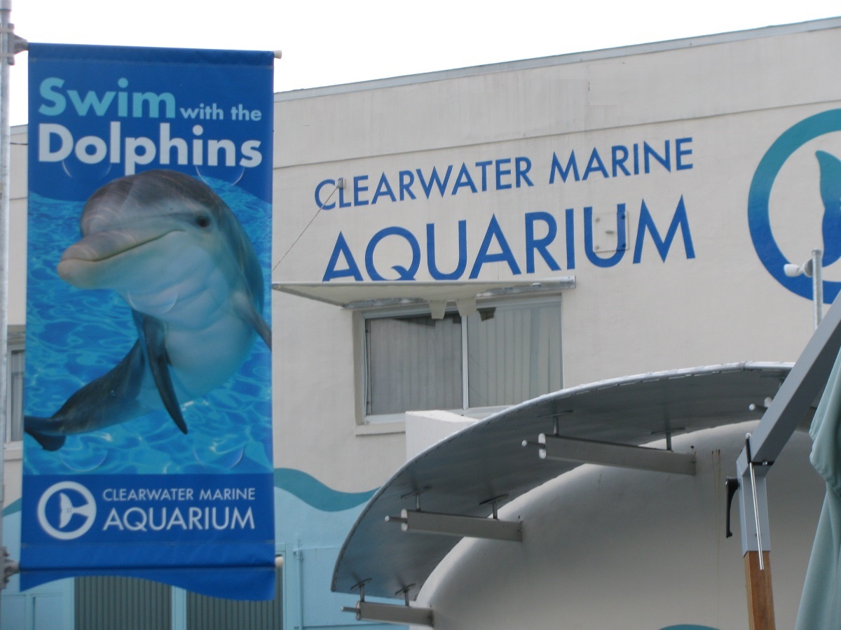 Clearwater Marine Aquarium - IMG 7965a