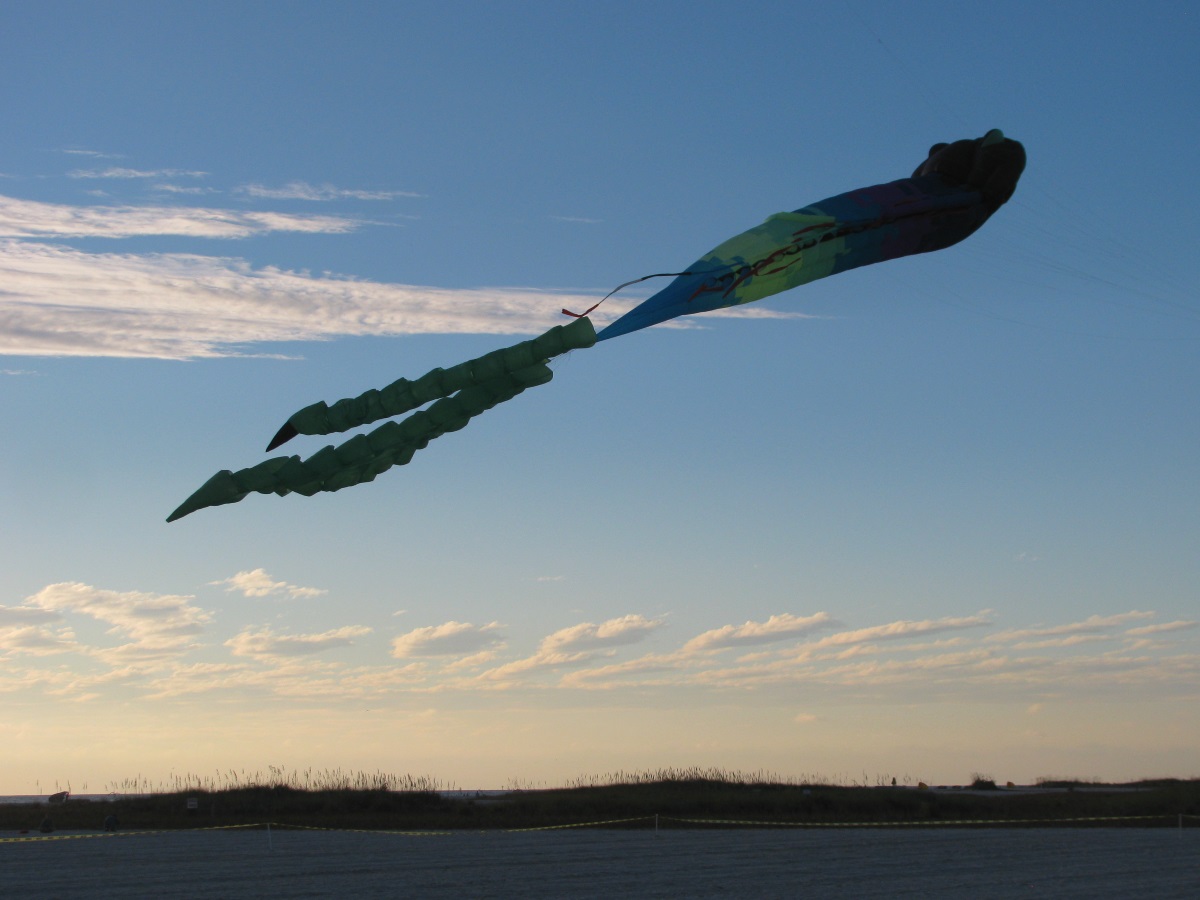 Veterans Day Fall Kite Festival at Treasure Island