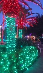 Holiday Lights in the Gardens