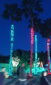 Holiday Lights in the Gardens