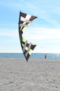 kite at Treasure Island Beach
