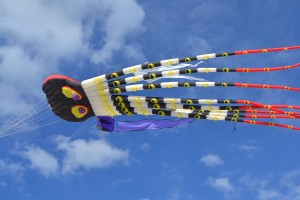 giant kites