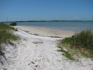 beach nature trail