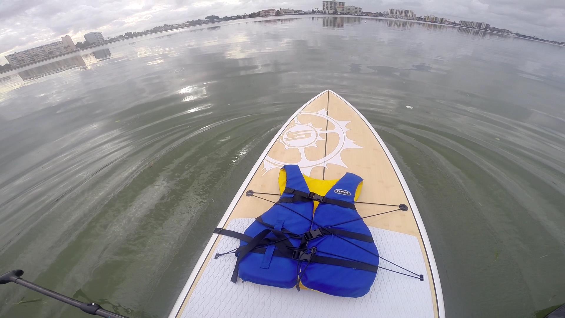 Paddleboarding Clearwater Beach