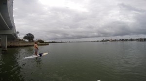 Paddleboard Clearwater Harbor 