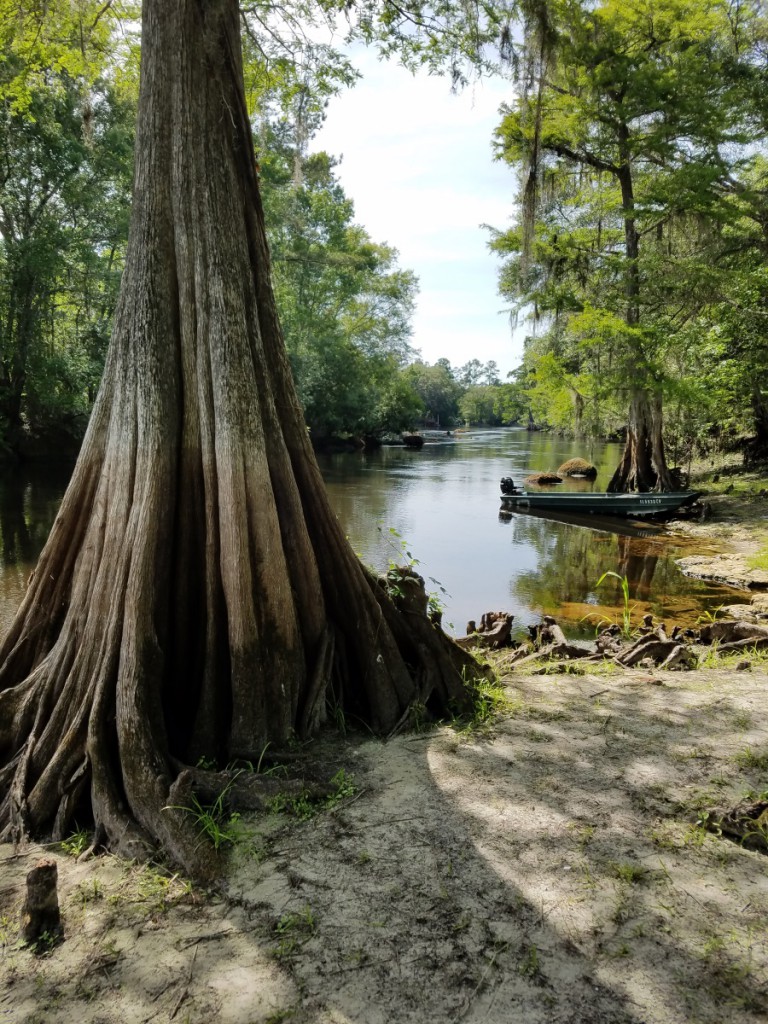 Banks of Withlacoochee River