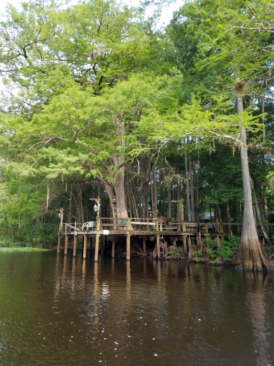 Slow Ride up the Withlacoochee River