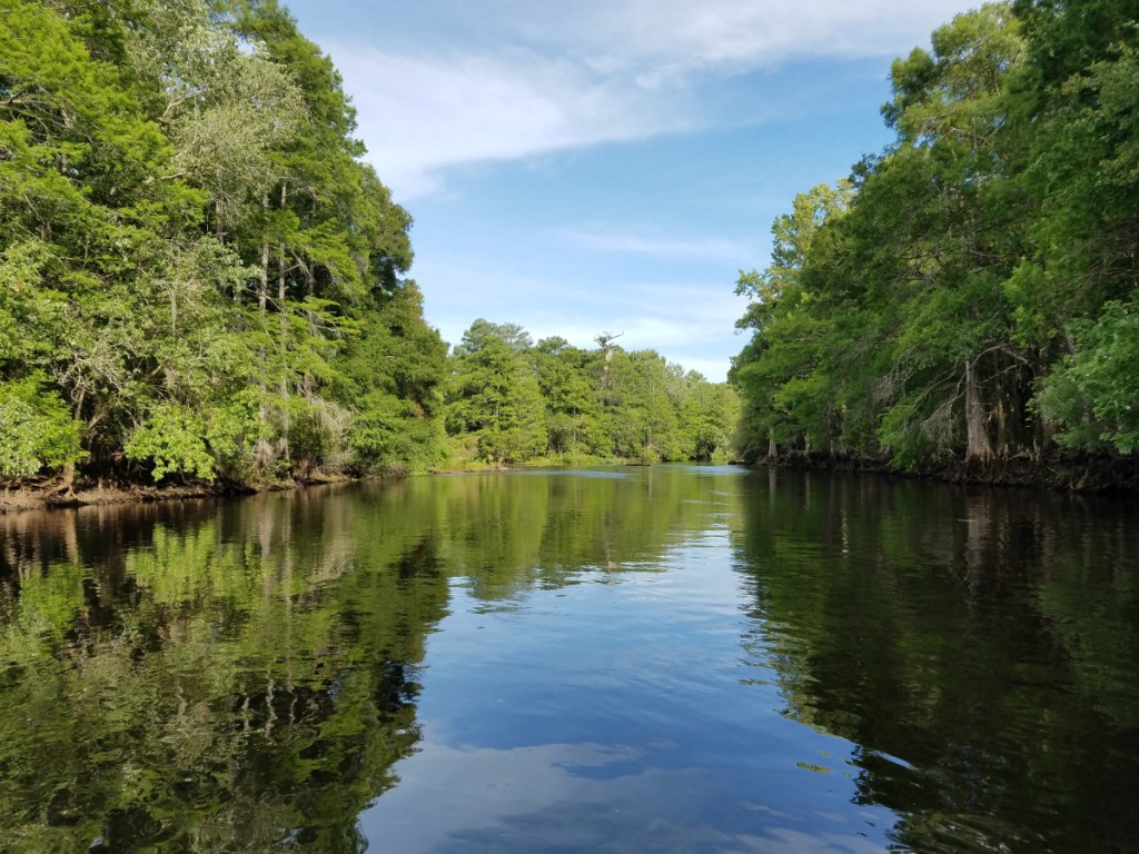 Calm waters of the Withlacoochee River