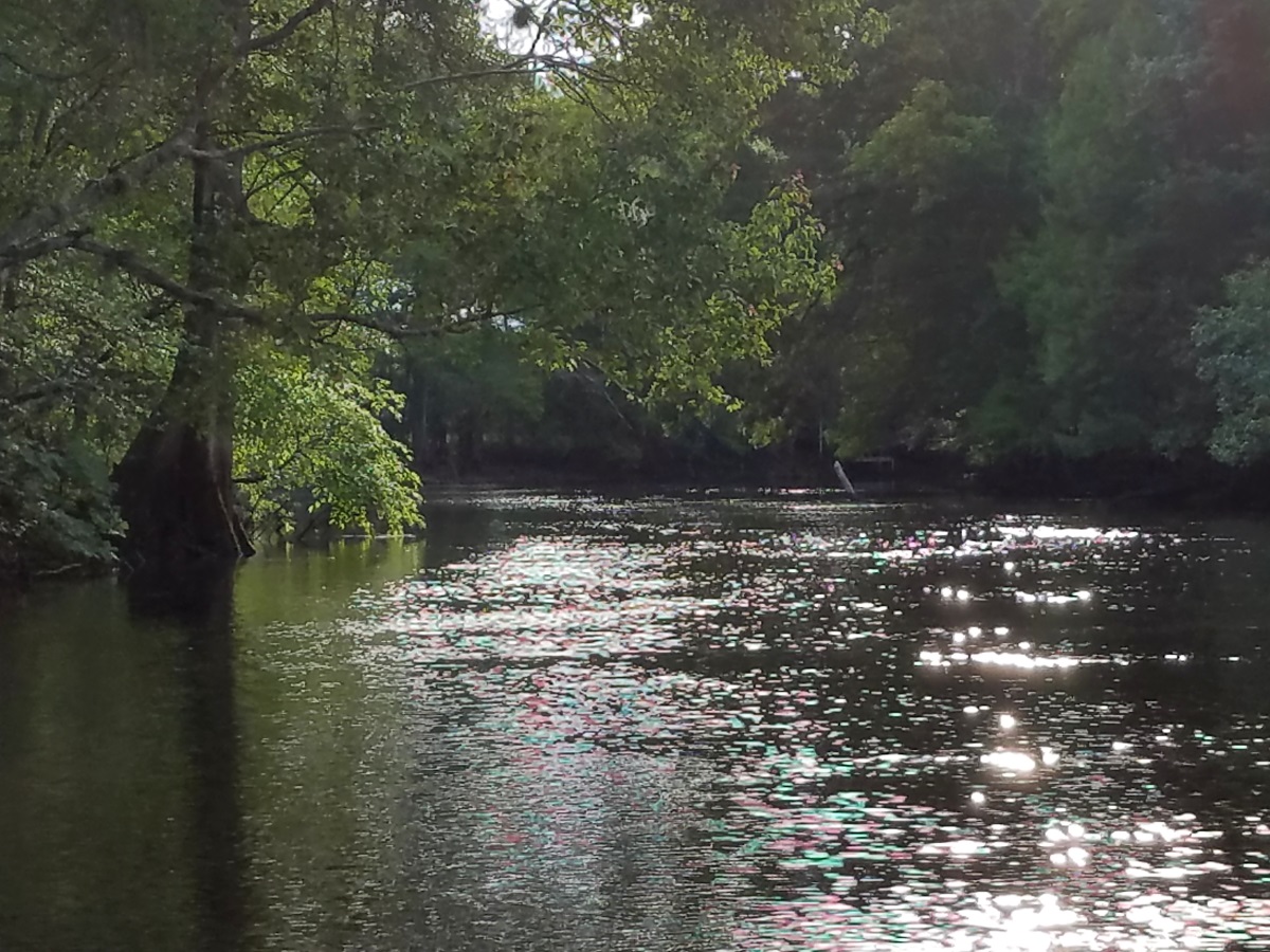 Slow Ride up the Withlacoochee River