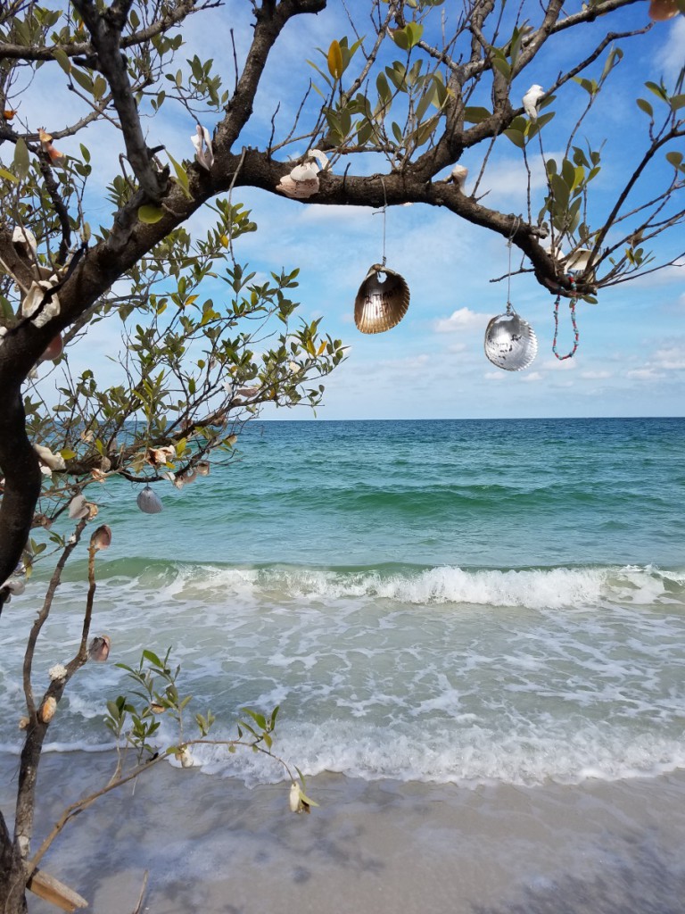 Clearwater Beach shell tree