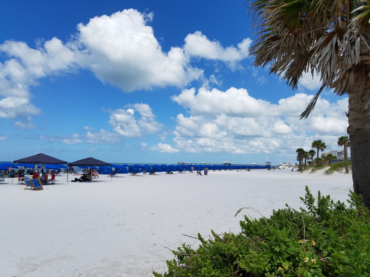 New Beach Rentals on the Florida West Coast