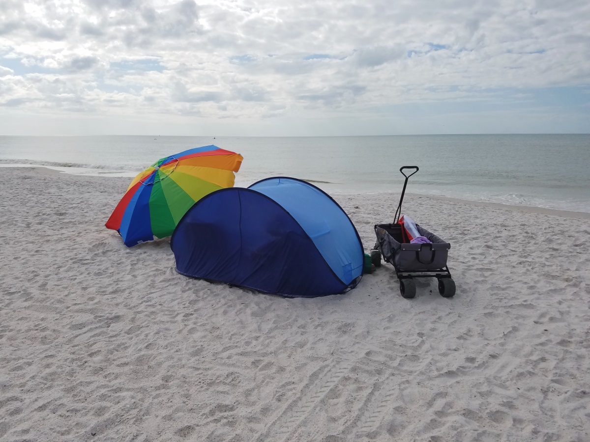 Two Days of Winter in Florida