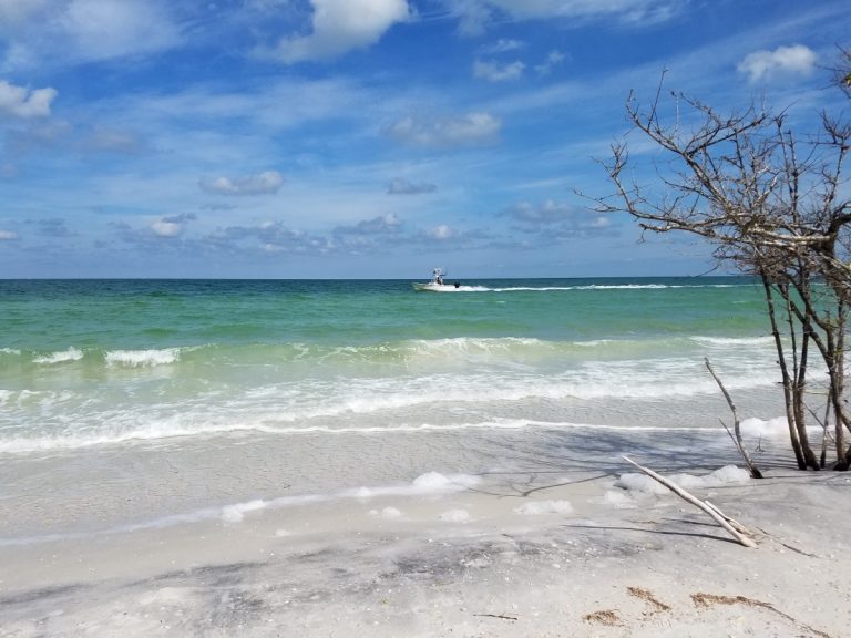 What Do You Know about Hog Island?