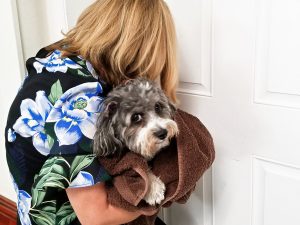 Woman sneaking dog into vacation rental